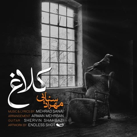 دانلود آهنگ مهراد سنایی کلاغ